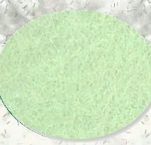 Wool Felt Fabric - Hint of Mint