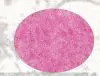 Wool Felt Fabric - Pixie Pink