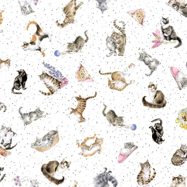 Maywood - Whiskers and Paws