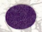 Wool Blend Felt - Grape Jelly