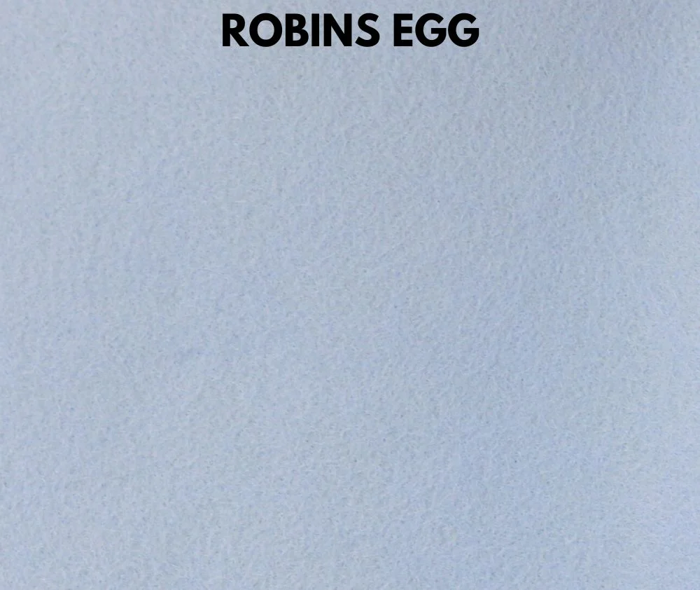 Robins_Egg_SSU6I1HU9E4J@2x