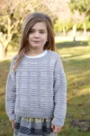 Little Cupcakes Silver Sweater LF 49